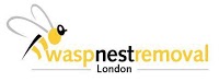 Wasp Nest Removal Hertfordshire 374217 Image 7